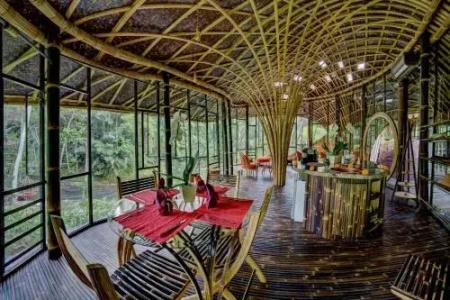 Bambu Indah - 12