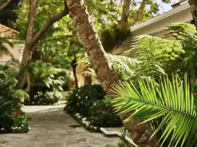 Bel-Air - Dorchester Collection - 42