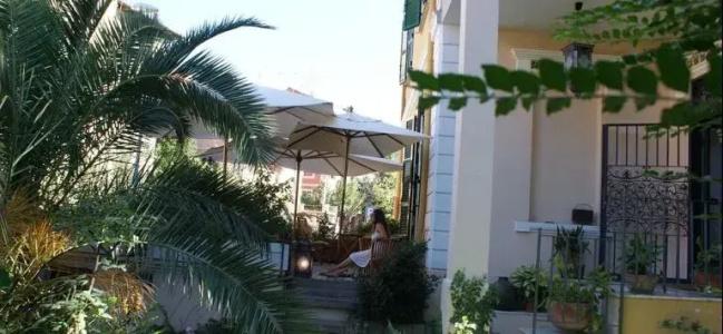 Palm Gallery - 28