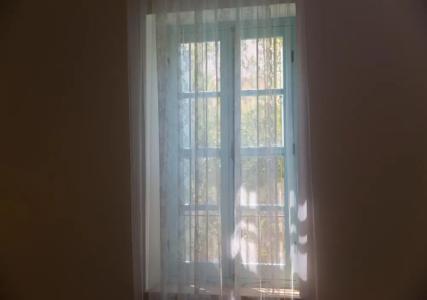 Shongas Inn - 37