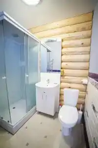 Сосны - 7