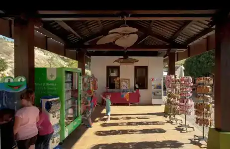 Magic Natura Animal, Waterpark & Polynesian Resort - 26