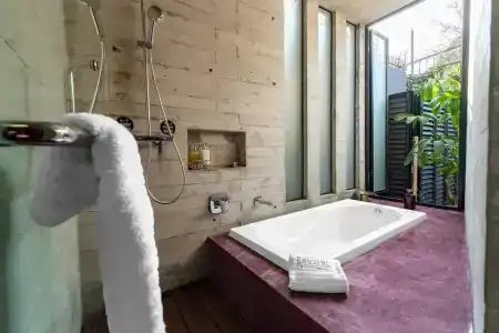 Pug Seal Polanco Anatole France - 79
