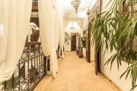 Riad Nasreen - 49