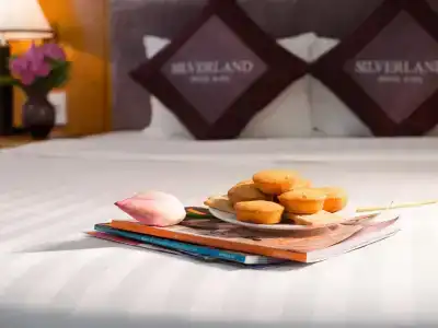 Silverland Sil & Spa - 9