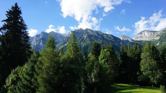 Pension Dachsteinhof - 14