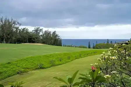 Kapalua Villas Maui - 110