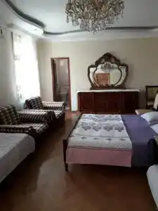 Magnolia Agmashenebeli - 21