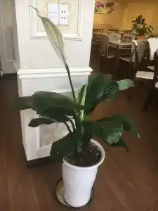 May House - 19