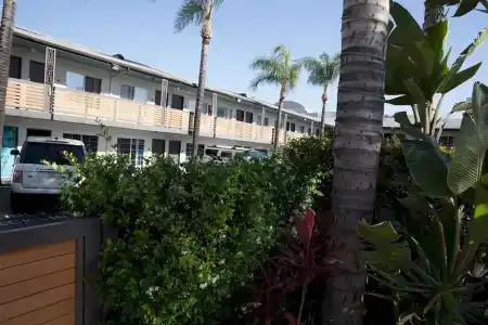 The Dixie Hollywood - 0