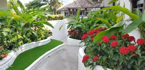 Clear View Resort - 223