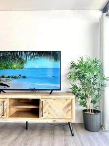 The Noosa - 247