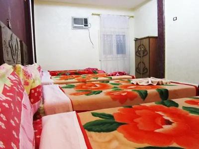 Cairo Moon Hostel - 14