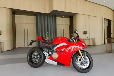 Modena By Fraser - Sha Extra Plus - 43