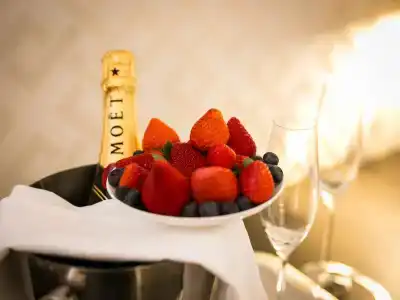 Minerva Relais - 10