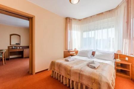 Villa Verdi Pleasure & Spa - 46