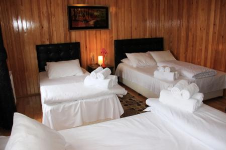 Ayder Villa de Pelit - 1