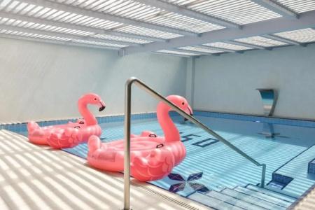 Flamingo - 11