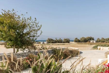 Marine Dream - 221