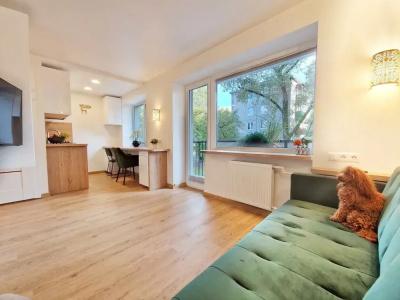 Vivulskio Apart-Hotel - 90
