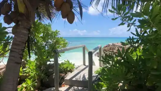 Sunset Cove Villa - 51