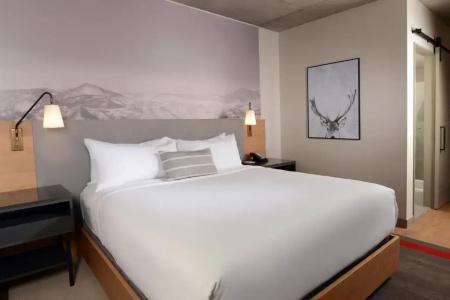 Indigo Denver Downtown, An Ihg Hotel - 34