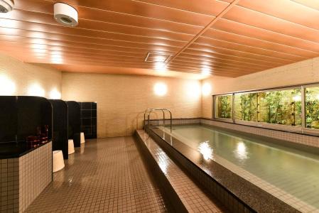 Hida Takayama Washington Plaza - 1