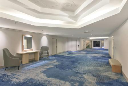 Hilton Anaheim - 42