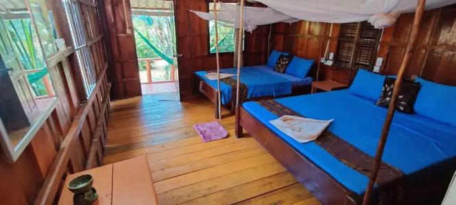 Dolphin Bay - 5