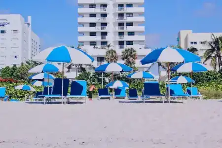 Ocean Spray - 19
