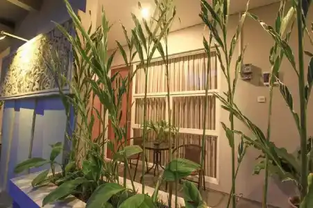 Bali True Living - 12