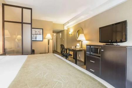 Comfort Suites Downtown - 42