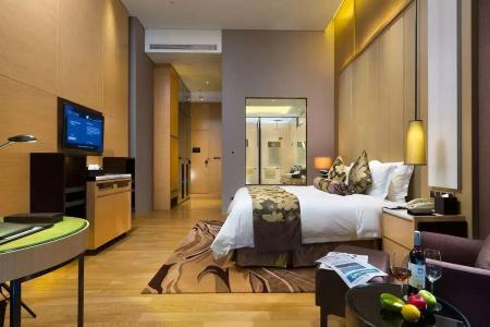 Shenzhen Futian Wyndham Grand - 9