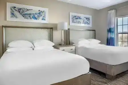 Hilton Grand Vacations Club SeaWorld Orlando - 63