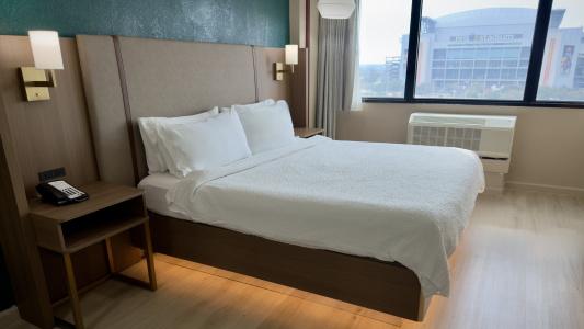 Holiday Inn Houston s - Nrg Area - Med Ctr, An Ihg - 25