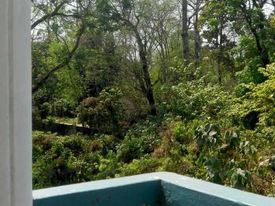 Eco Adventure - 12