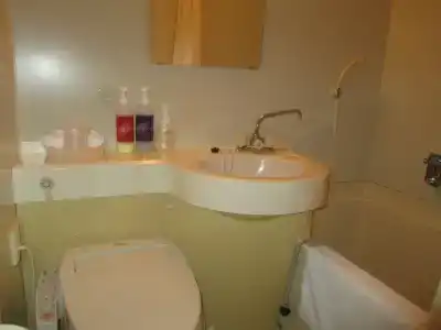 Crown Hills Imabari - 7