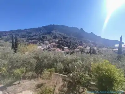 Panorama - 29