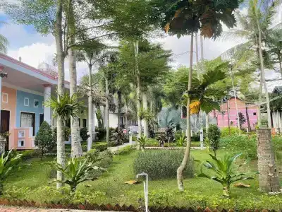 Orange Resort - 33
