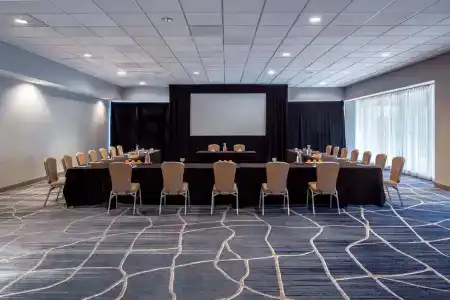 Hyatt Regency Houston Intercontinental Airport - 14