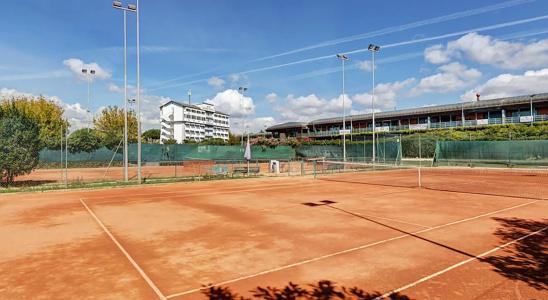 Aris Garden - 19