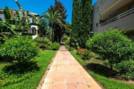 Palace Costa Del Sol - 17