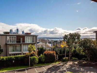 Auckland Rose Park - 105
