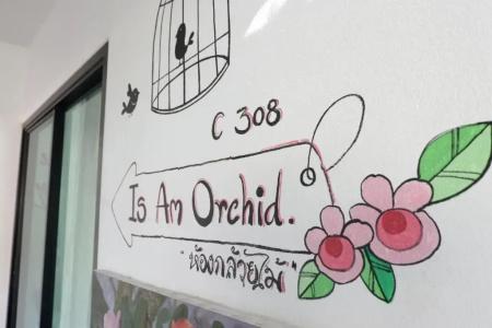 Is Am o Chiang Mai - 133