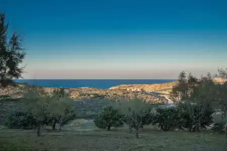 Iliatoras - 12