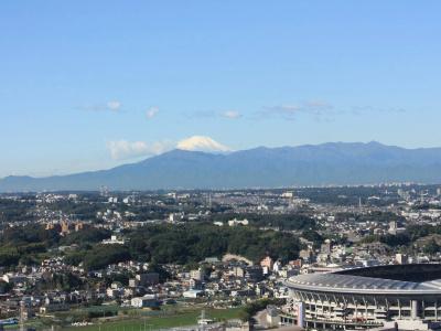Shin Yokohama Prince - 50