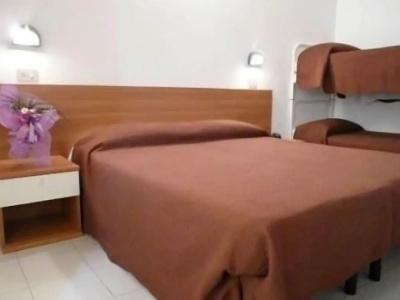 Paloma - 2