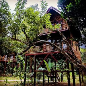 Our Jungle Camp - Eco Resort Sha Certified - 0