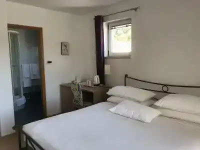 Pink Inn - 41