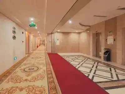 Vienna Dongguan Shi - 0
